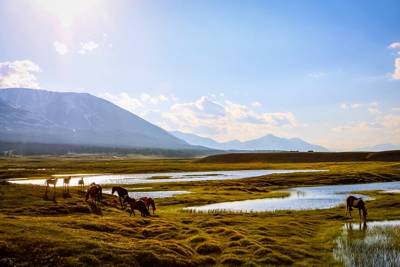 Mongolia by Jura Cullen-IMG_2389-