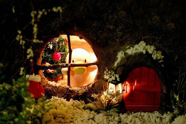 387743_304226396274544_100000615579292_992183_1403855332_n