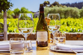 Sauvignon Blanc Glasses Terroir Terrcae (Copy)