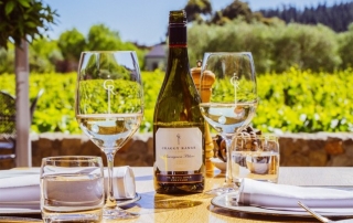 Sauvignon Blanc Glasses Terroir Terrcae (Copy)