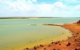 19916552529_994a7eb329_o (OiVietNam_3N)