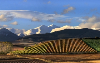 6aef680a-283d-4fab-4135-2c50b09df747