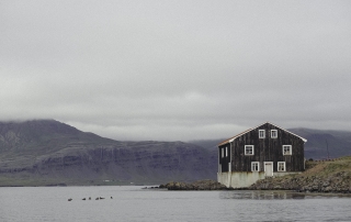 oivietnam-danny-fernandez-photos-1-of-6